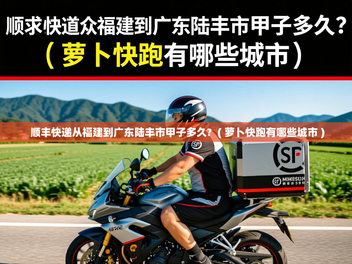  顺丰快递从福建到广东陆丰市甲子多久?  ( 萝卜快跑有哪些城市 )