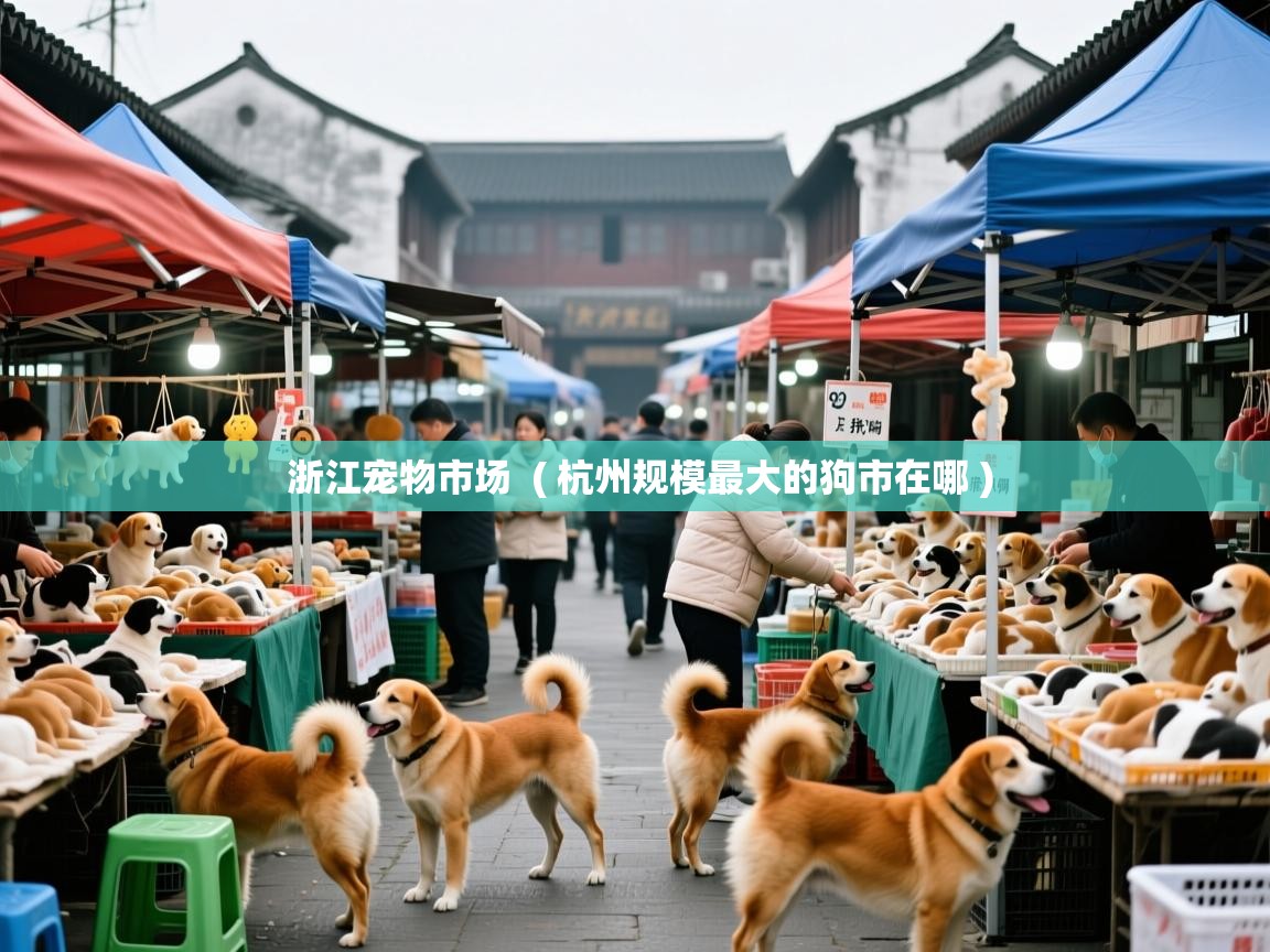  浙江宠物市场  ( 杭州规模最大的狗市在哪 )