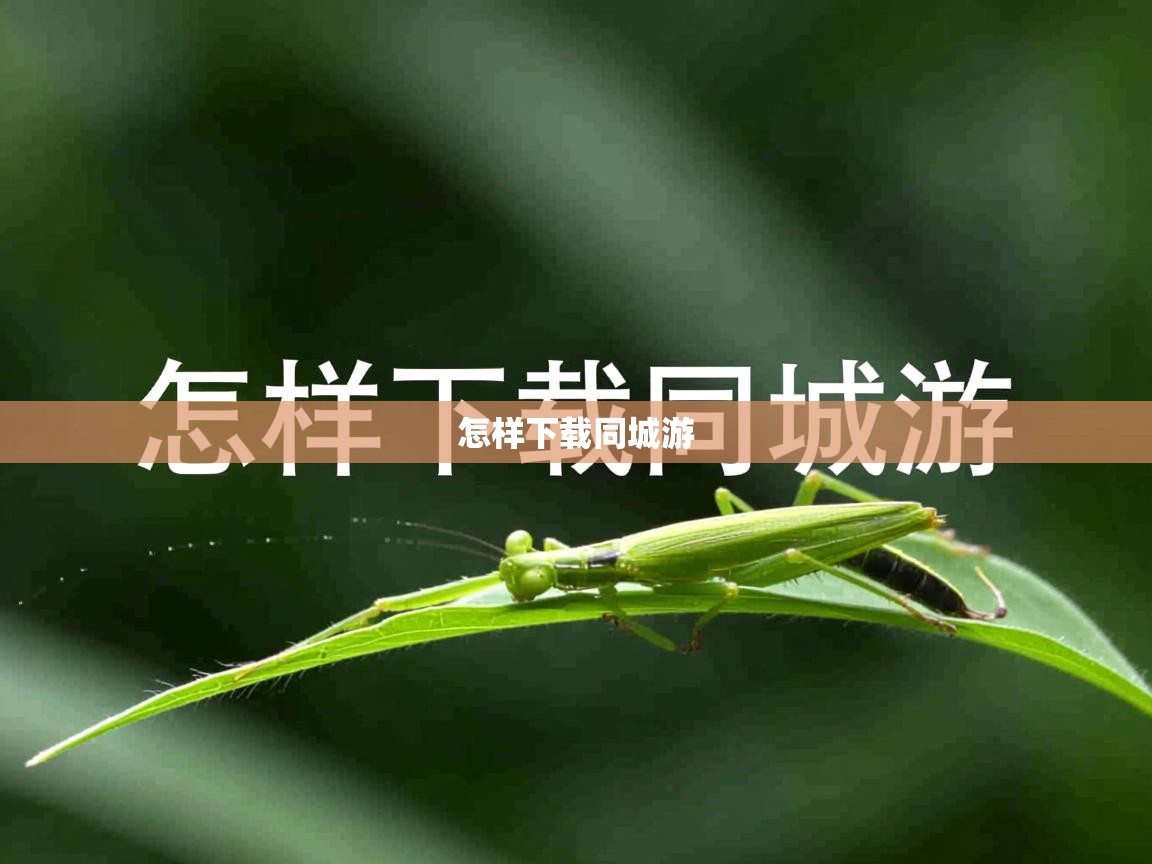 怎样下载同城游 怎样下载同城游