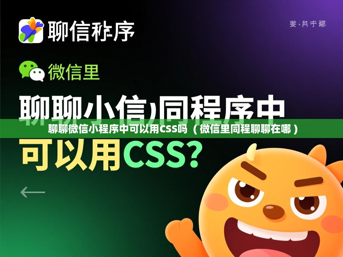  聊聊微信小程序中可以用CSS吗  ( 微信里同程聊聊在哪 )