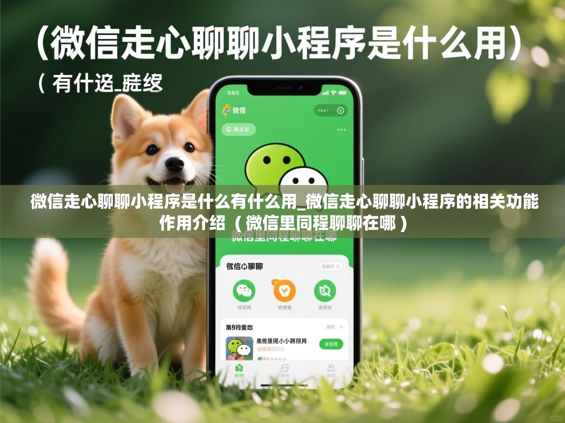  微信走心聊聊小程序是什么有什么用_微信走心聊聊小程序的相关功能作用介绍  ( 微信里同程聊聊在哪 )