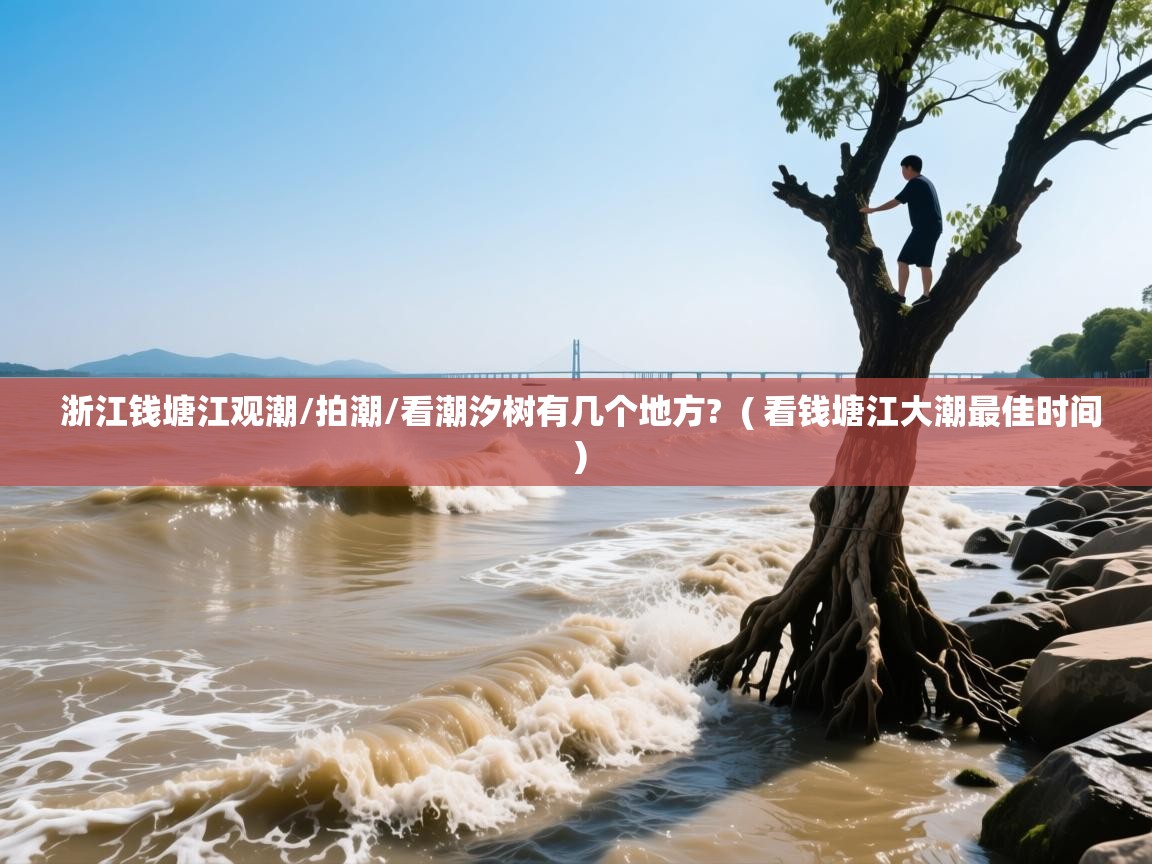  浙江钱塘江观潮/拍潮/看潮汐树有几个地方?  ( 看钱塘江大潮最佳时间 )