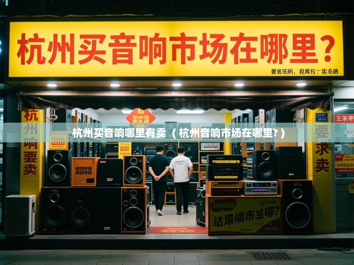  杭州买音响哪里有卖  ( 杭州音响市场在哪里? )