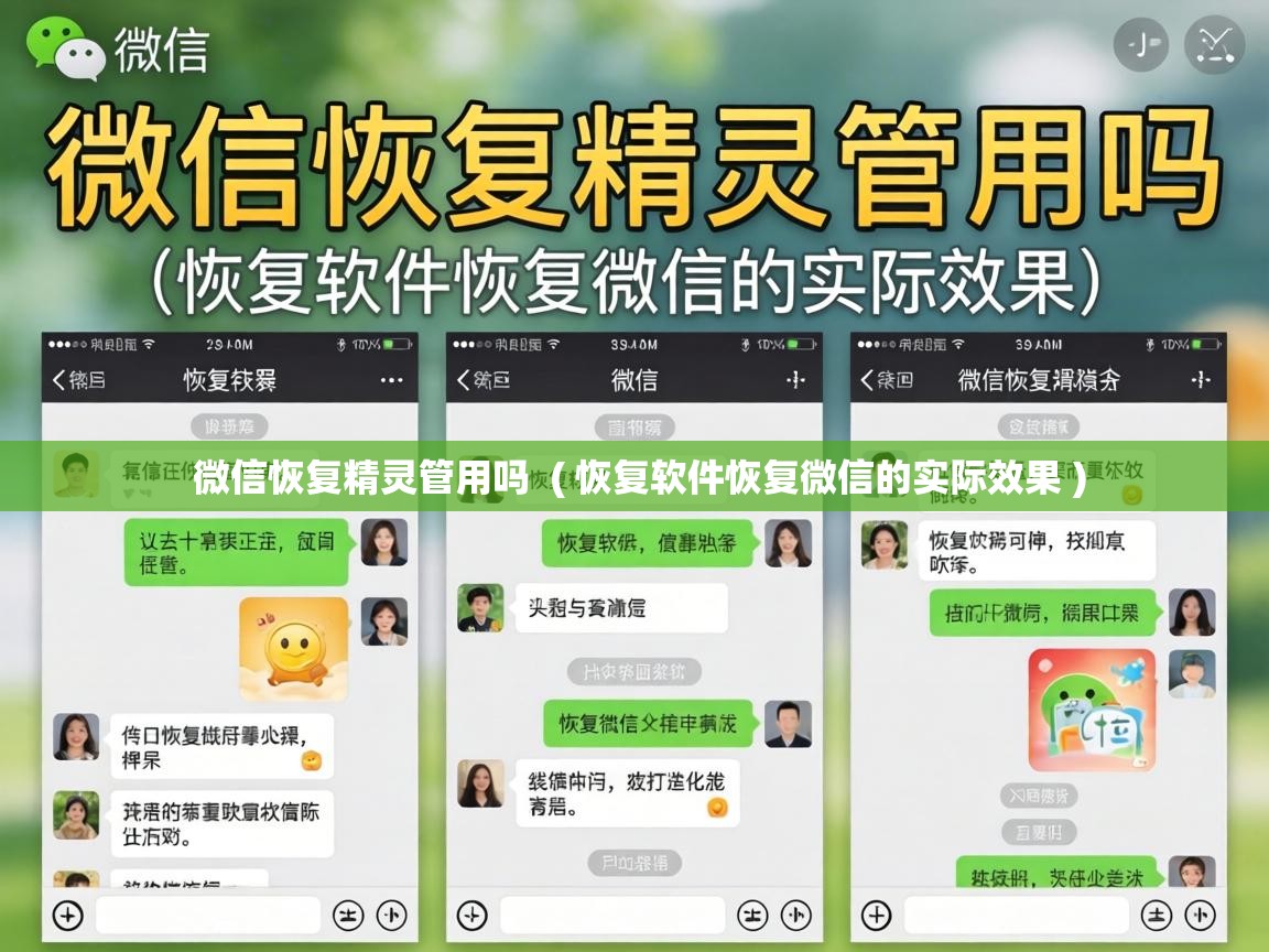  微信恢复精灵管用吗  ( 恢复软件恢复微信的实际效果 )