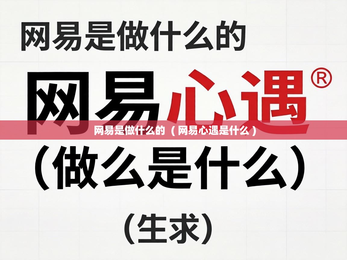  网易是做什么的  ( 网易心遇是什么 )