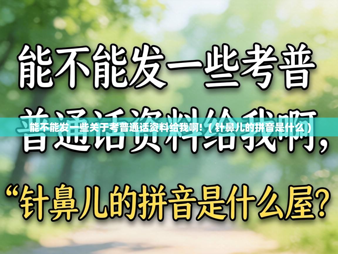  能不能发一些关于考普通话资料给我啊!  ( 针鼻儿的拼音是什么 )