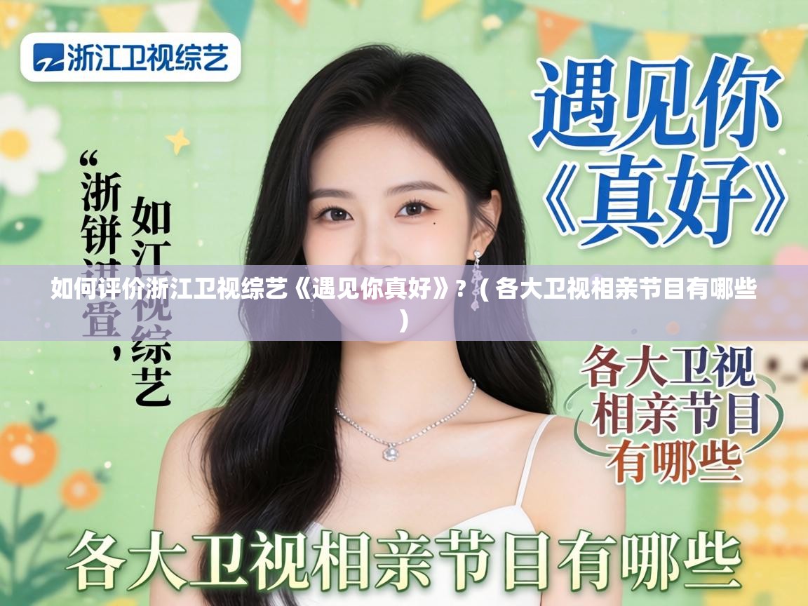 如何评价浙江卫视综艺《遇见你真好》?  ( 各大卫视相亲节目有哪些 )