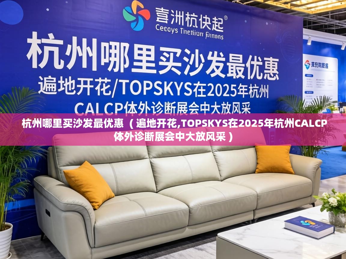  杭州哪里买沙发最优惠  ( 遍地开花,TOPSKYS在2025年杭州CALCP体外诊断展会中大放风采 )