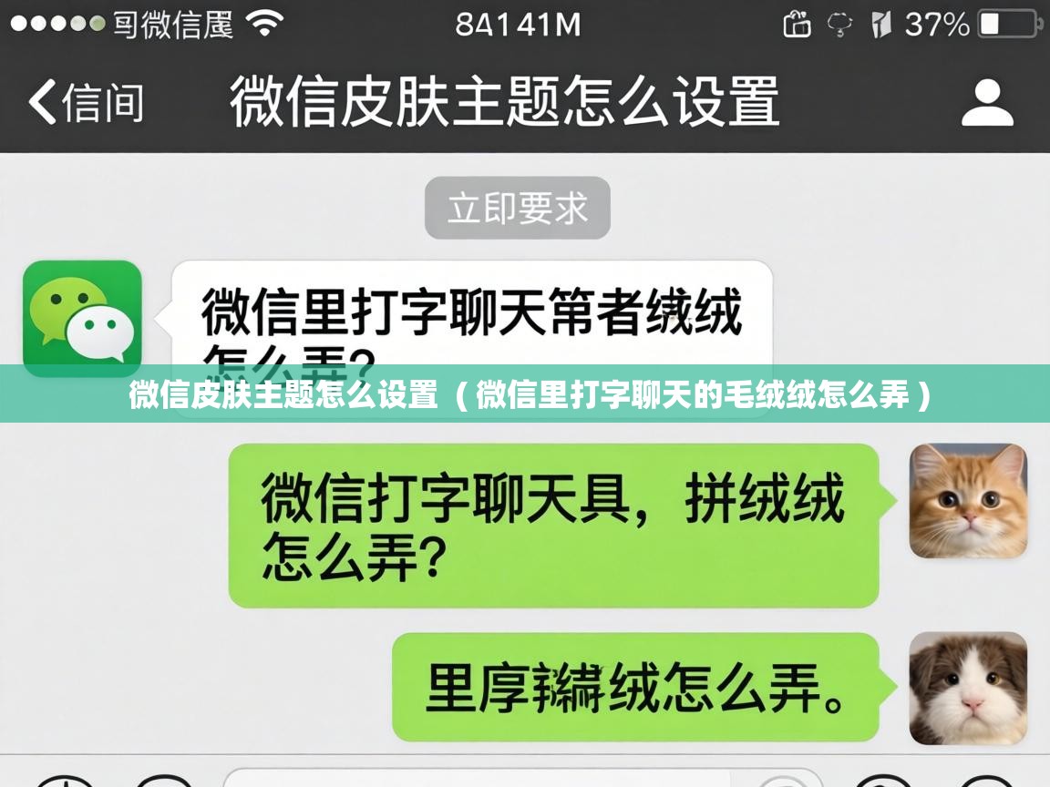  微信皮肤主题怎么设置  ( 微信里打字聊天的毛绒绒怎么弄 )