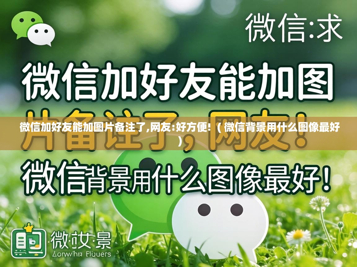  微信加好友能加图片备注了,网友:好方便!  ( 微信背景用什么图像最好 )
