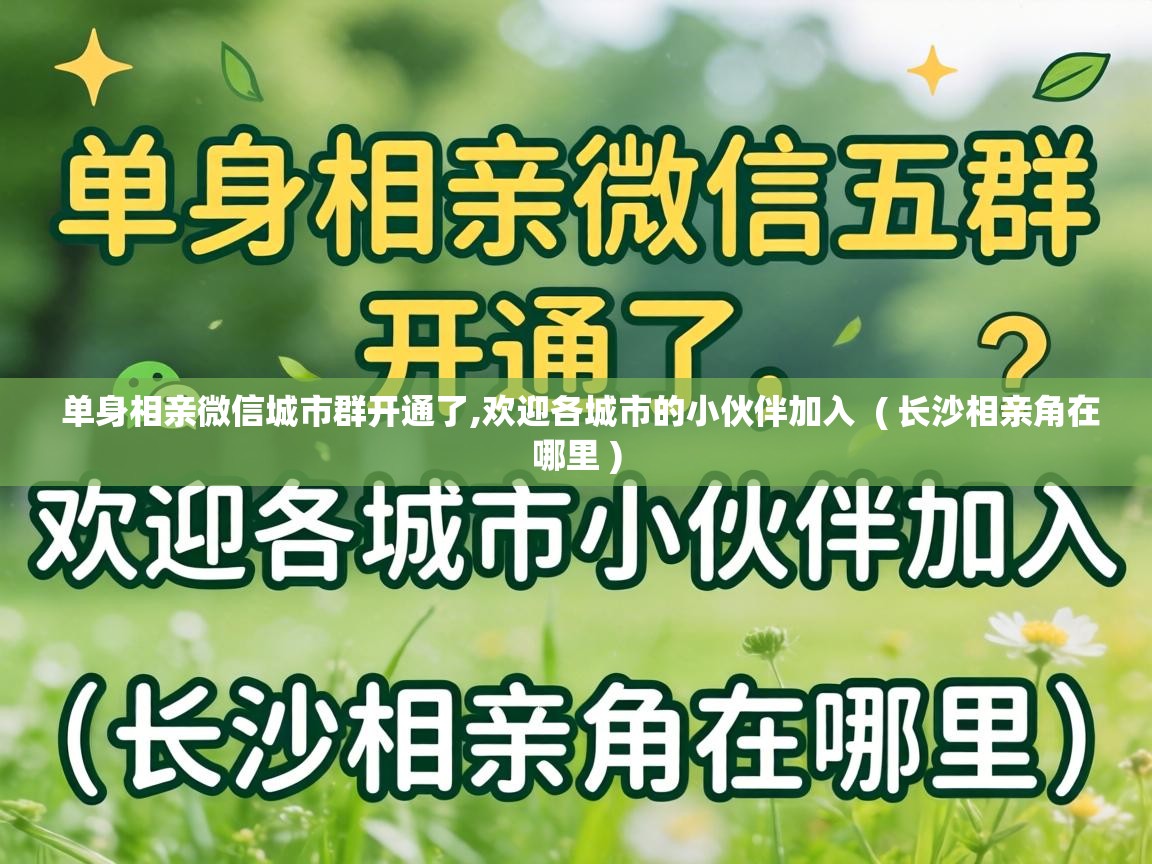  单身相亲微信城市群开通了,欢迎各城市的小伙伴加入  ( 长沙相亲角在哪里 )