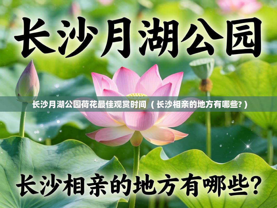  长沙月湖公园荷花最佳观赏时间  ( 长沙相亲的地方有哪些? )