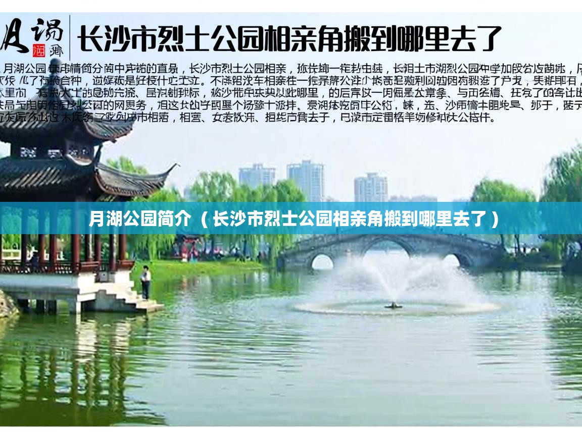  月湖公园简介  ( 长沙市烈士公园相亲角搬到哪里去了 )