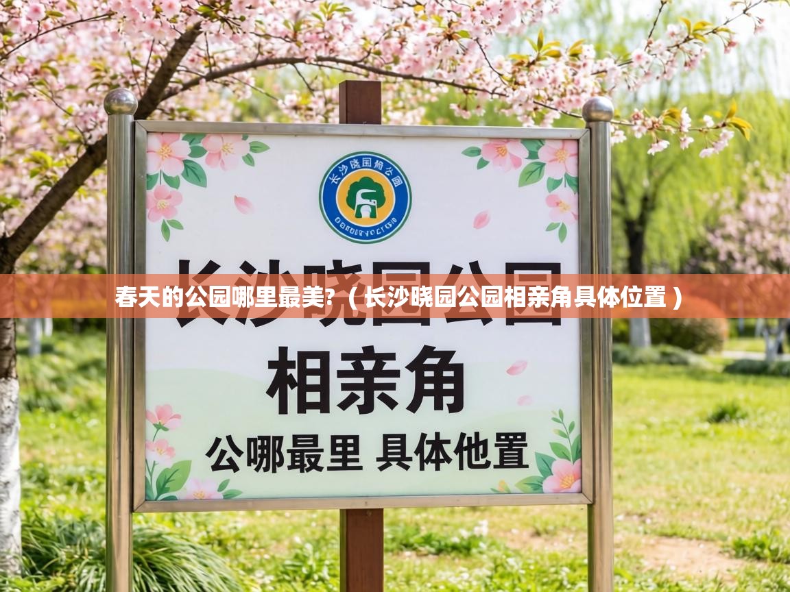  春天的公园哪里最美?  ( 长沙晓园公园相亲角具体位置 )