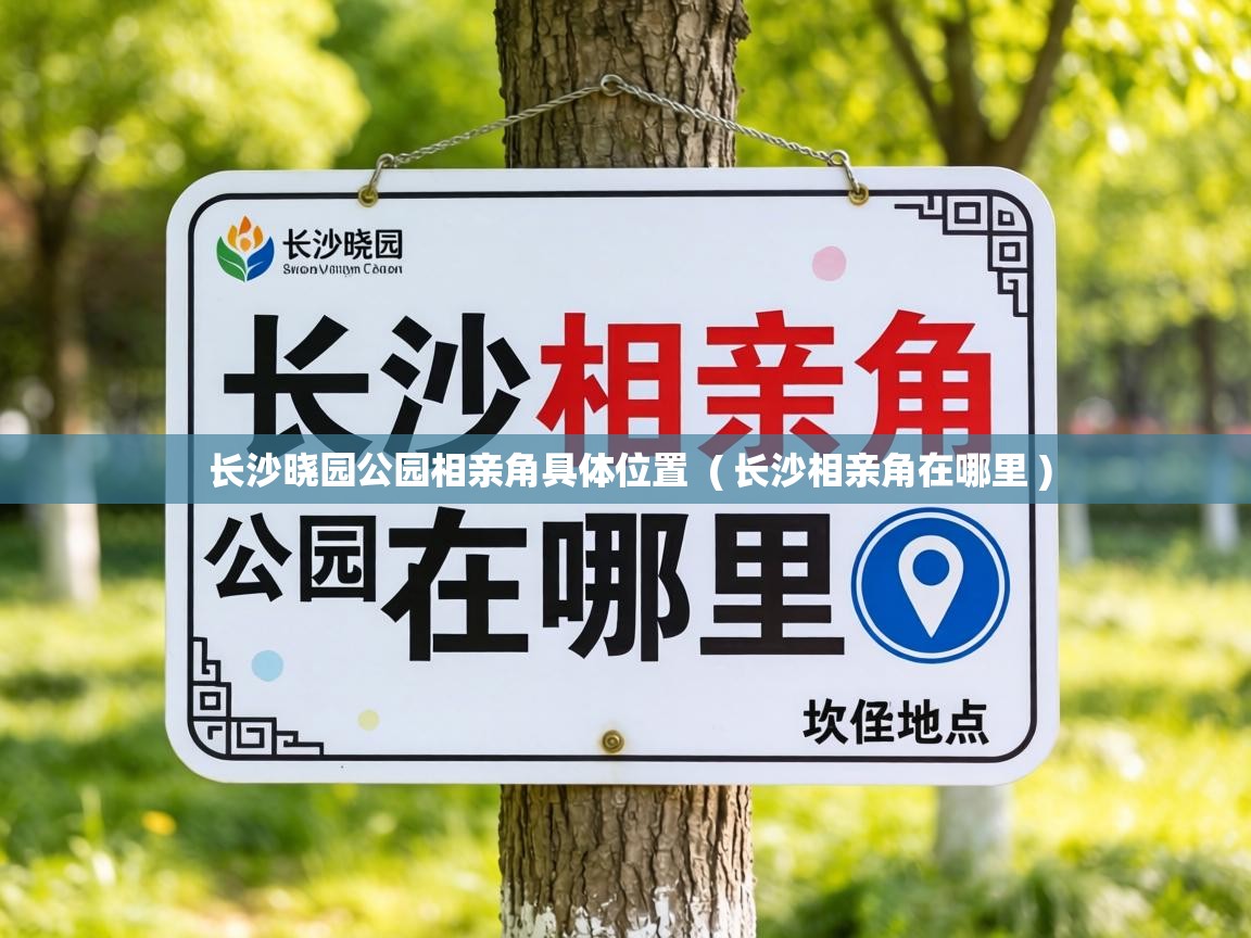  长沙晓园公园相亲角具体位置  ( 长沙相亲角在哪里 )