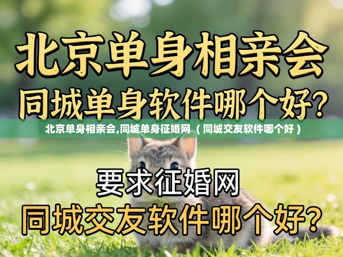  北京单身相亲会,同城单身征婚网  ( 同城交友软件哪个好 )