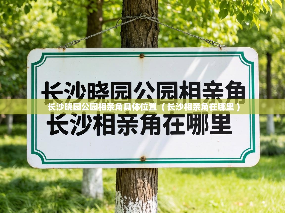  长沙晓园公园相亲角具体位置  ( 长沙相亲角在哪里 )