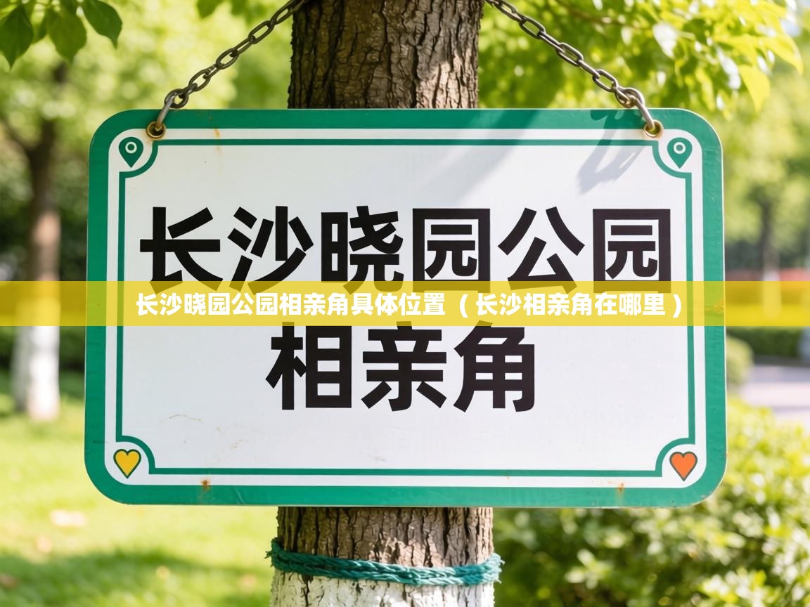  长沙晓园公园相亲角具体位置  ( 长沙相亲角在哪里 )