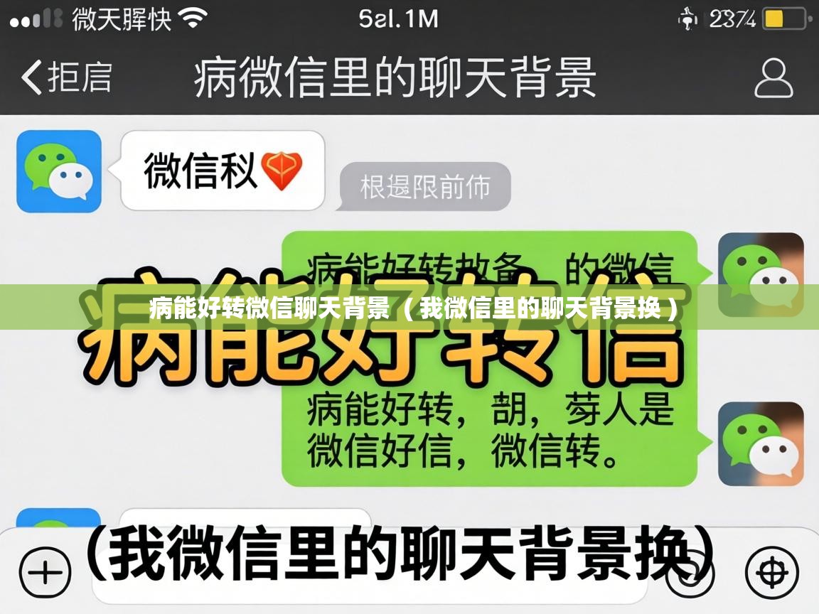  病能好转微信聊天背景  ( 我微信里的聊天背景换 )