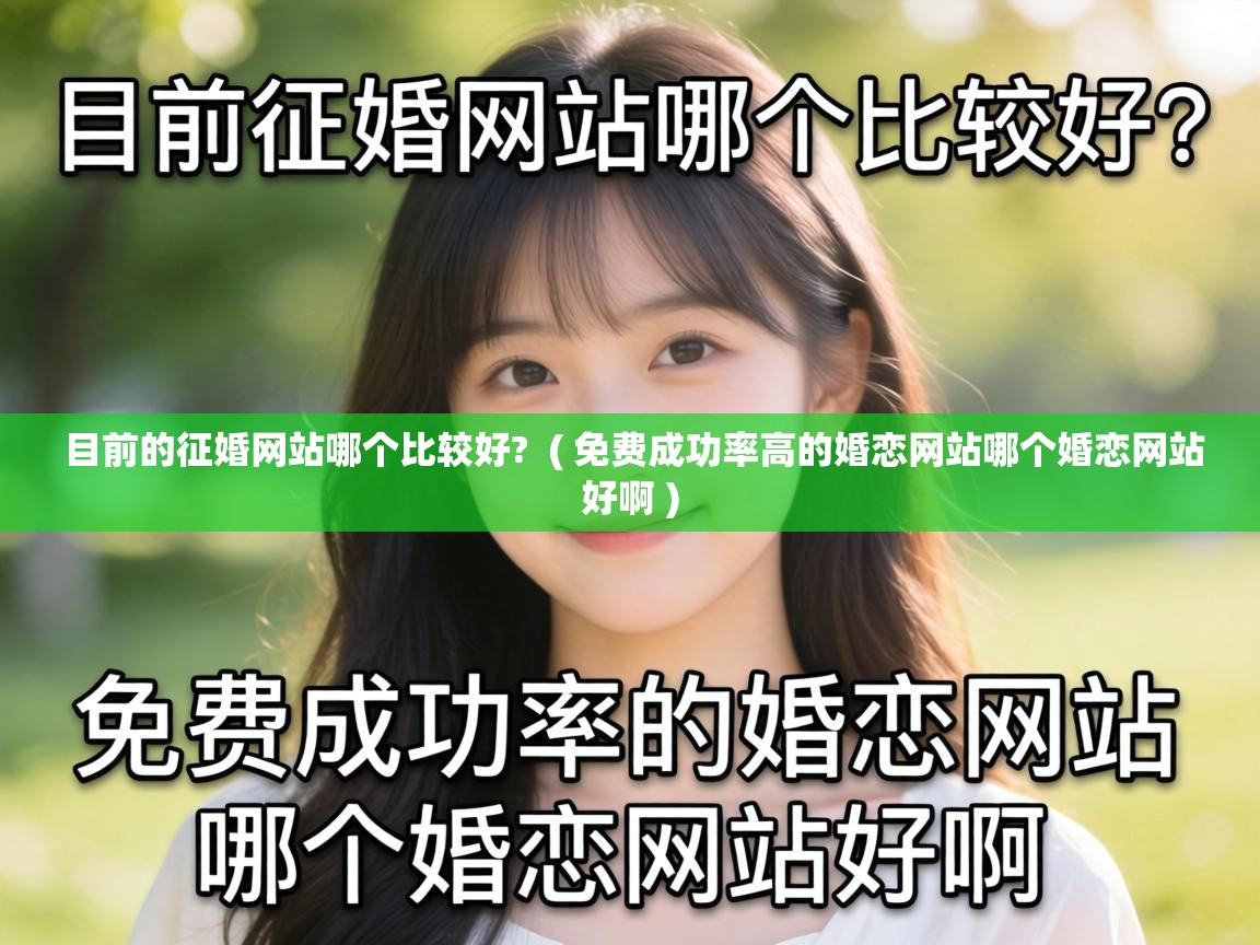  目前的征婚网站哪个比较好?  ( 免费成功率高的婚恋网站哪个婚恋网站好啊 )