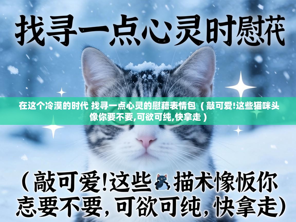  在这个冷漠的时代 找寻一点心灵的慰藉表情包  ( 敲可爱!这些猫咪头像你要不要,可欲可纯,快拿走 )