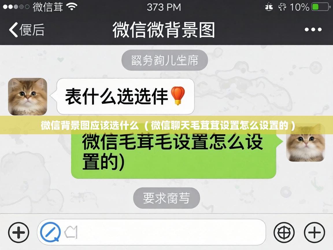  微信背景图应该选什么  ( 微信聊天毛茸茸设置怎么设置的 )
