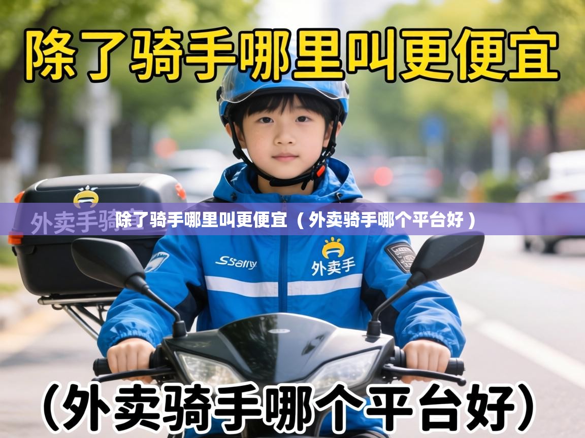  除了骑手哪里叫更便宜  ( 外卖骑手哪个平台好 )