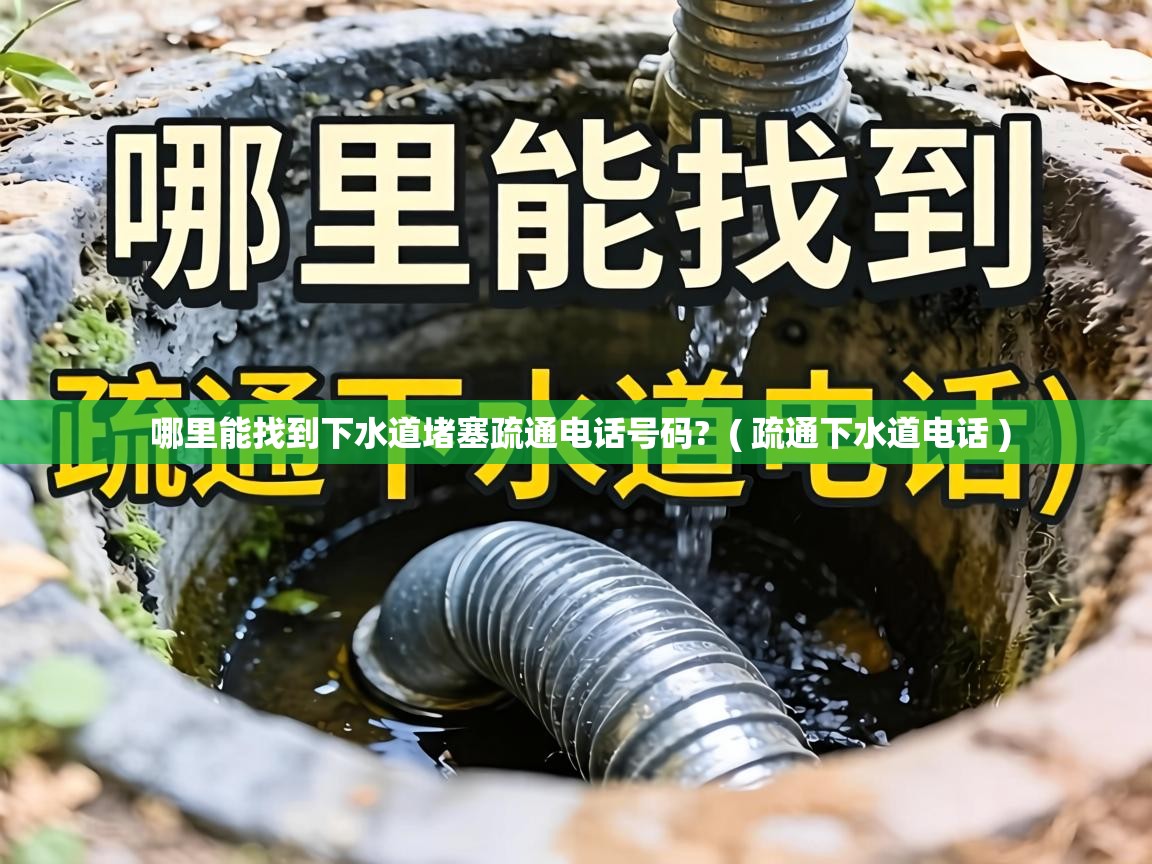  哪里能找到下水道堵塞疏通电话号码?  ( 疏通下水道电话 )