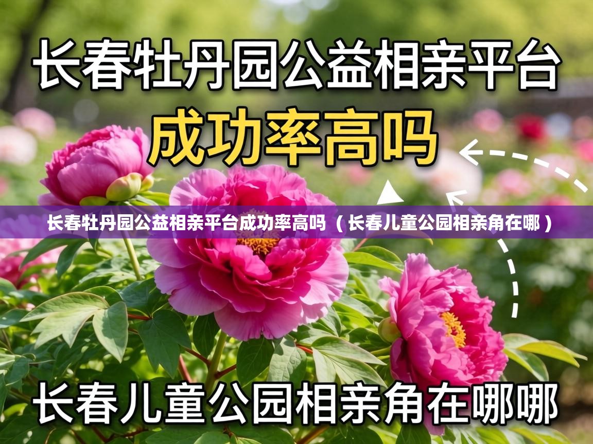  长春牡丹园公益相亲平台成功率高吗  ( 长春儿童公园相亲角在哪 )