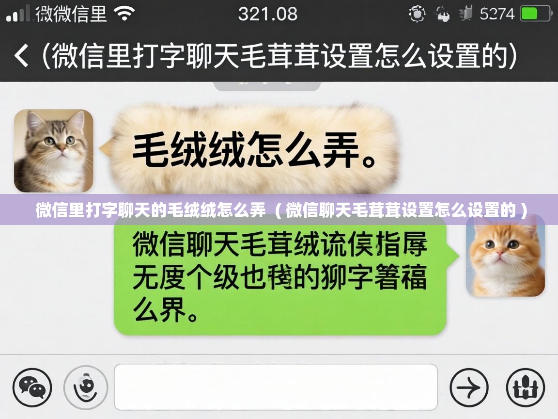  微信里打字聊天的毛绒绒怎么弄  ( 微信聊天毛茸茸设置怎么设置的 )