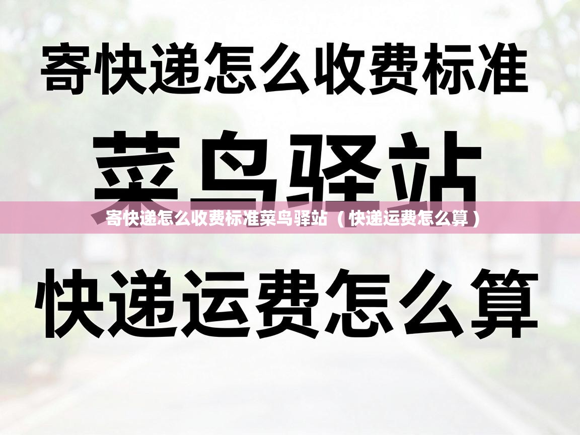  寄快递怎么收费标准菜鸟驿站  ( 快递运费怎么算 )
